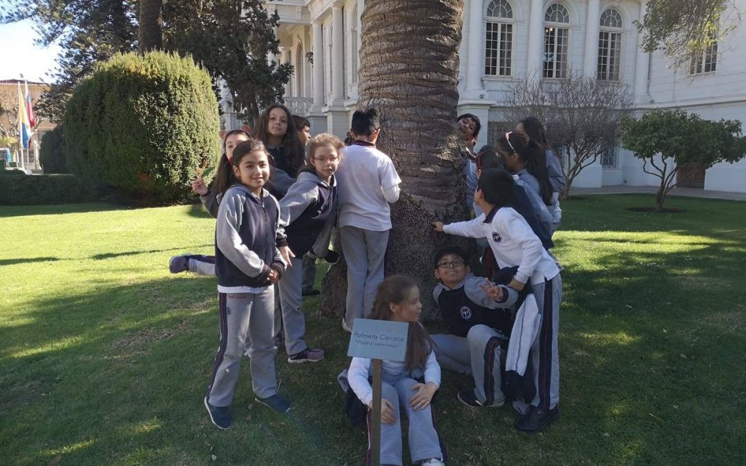 Clases al aire libre con nuevo modelo pedagógico