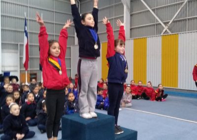 Copa Gimnasia Artística Colegio Capellán Pascal