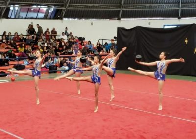 Gimnastas Saint Dominic clasifican a los nacionales