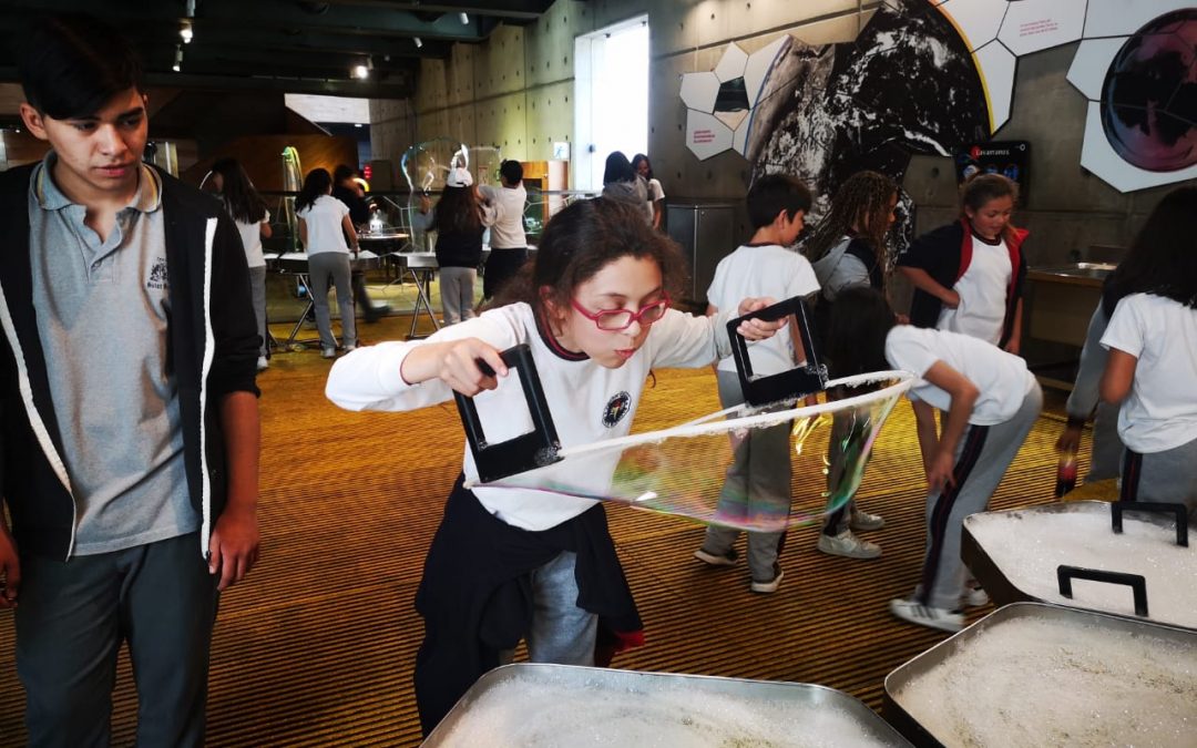 Salidas pedagógicas de Básica