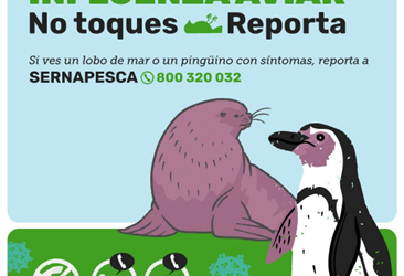 Campaña Gripe Aviar